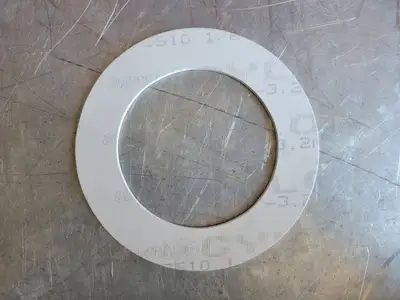 Ring Gasket