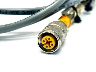 RK 4.4T-6 6.5',U2177 | Turck RK 4.4T-6 6.5' Euro Fast Cordset 300V FT1 U2177 LOT OF 3 - Used