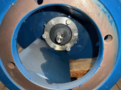 USED Goulds 3171