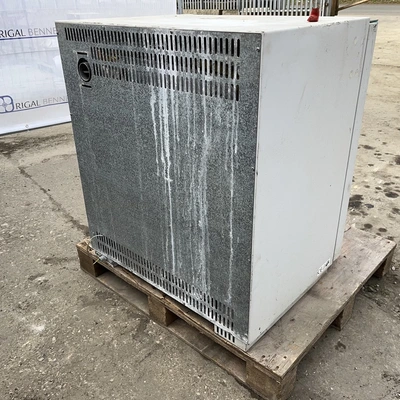 100 L Incucell Incubator