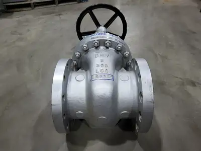 8" Class 300 Gate Valve B16.34