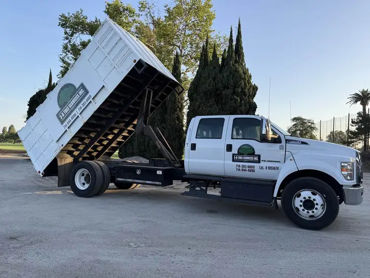 Used 2017 FORD F-650 Dump trucks California US | Ben Kaplan Equipment #1182474