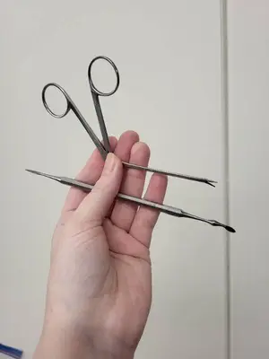 Collection of Vintage Dental Tools and Accessories