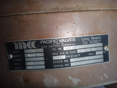 Pacific 20" 300 lb Check Valves