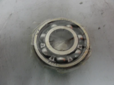 NEW FAG 6304