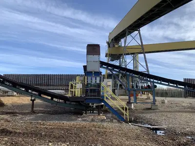 400 hp Hogger w/ Infeed & Outfeed Conveyor