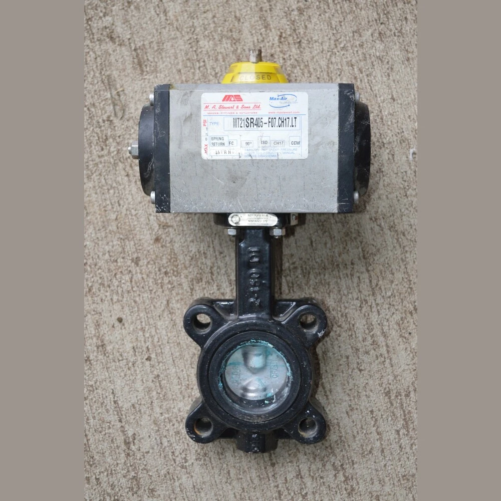 Mas 2 in. Butterfly Valves