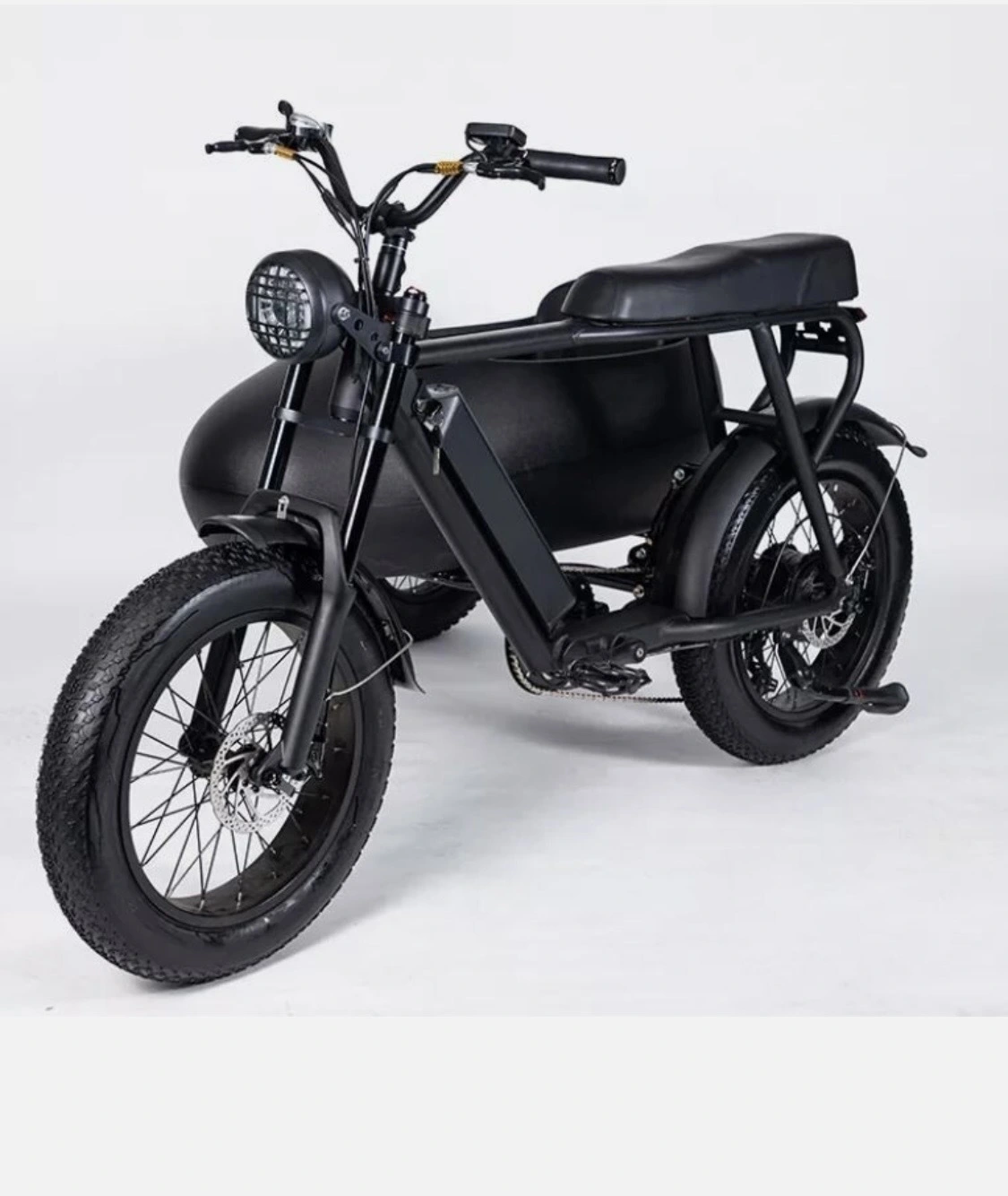 New | in-Stock Ebike PlayeBike 750w 6 Speed Shimano Electric Tricycle Ebike Bicycle With Side Car Motorcycles (Misc) California US | DanvasLLC #1303687