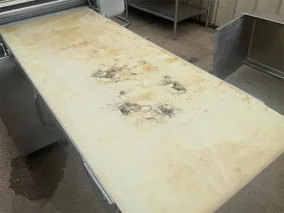 Used RONDO BUTTERFLY Sheeters British Columbia CA | Surrey Food Equipment #1324786