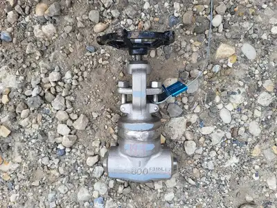 1" Class 800 Globe Valve API 602