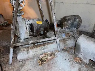 USED GOULDS 3175S