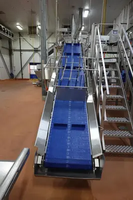 Used 2023 COZZINI CBC-5 Belt Conveyors Illinois US | M&M Equipment Corp. #1341246
