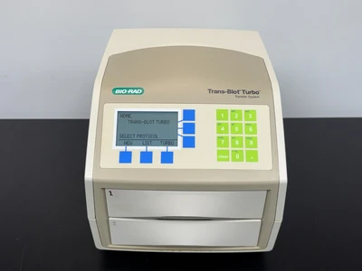 Used Bio-Rad 1704150 Western Blotting Missouri US | BioLabTek #1384060