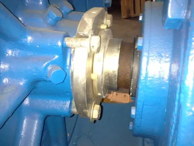 USED Goulds 3175