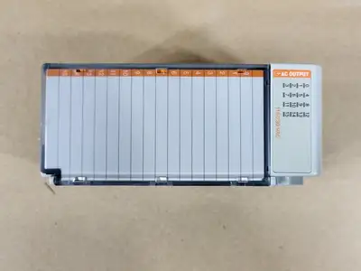 NEW ALLEN-BRADLEY 1769-OA16