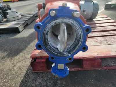 10 hp Pump Assembly w/ 6 in. Swing Check & Butterfly Valve