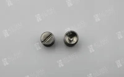Adjustment Screw for ONE39 - RV41444101