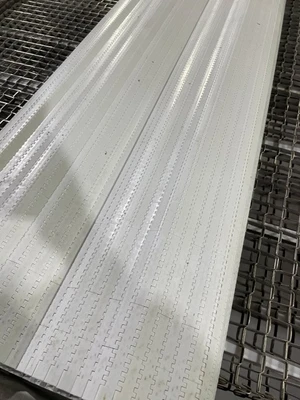 _UNKNOWN_ _UNKNOWN_ Belt Conveyors | Envoy Equipment LLC (7)