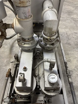 Used 2002 TRAVAINI "TR0500S-1A" Vacuum Pumps South Carolina US | MachineryMax #1547055