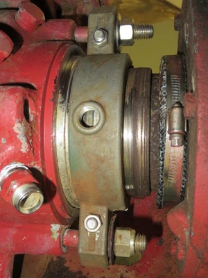 USED Goulds 3175