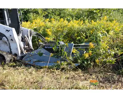 Used BAUMALIGHT _UNKNOWN_ Skid Steer Brush Cutters Iowa US | Keast Enterprises #1359992