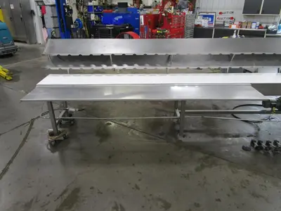 CPI SS Packoff Conveyor