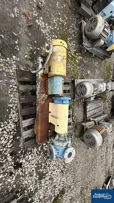 USED Viking Pump 2" Viking Gear Pump, S/S
