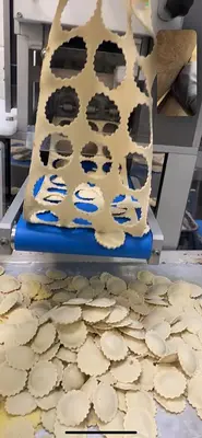 Italiana Foodtech Ravioli Pasta Former