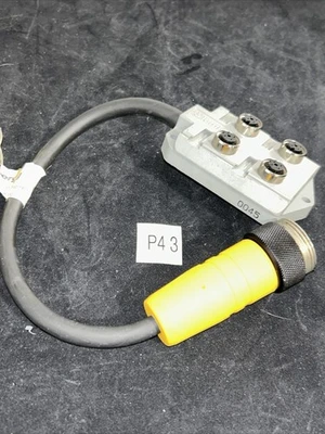 USED Lumberg ASBV 4 4/3-138/RS120 1M/1FT