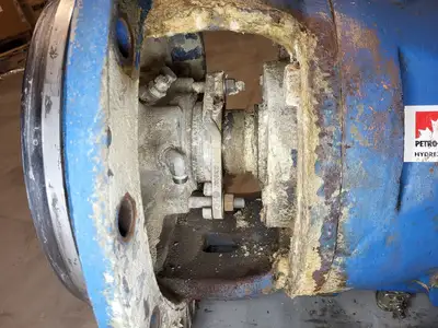 USED GOULDS 3175