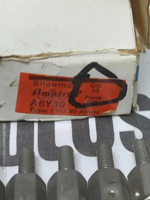 New | in-Stock GOULD SHAWMUT A6Y30 TYPE 2SG Miscellaneous Equipment (Electrical & Power) Ohio US | Surplus Asset Holdings #1238292