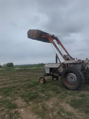 USED 1980 WHITE 2-85