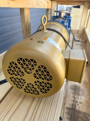 Goulds 10SV9FH4F60 Other Pumps | Fram Fram LLC (9)