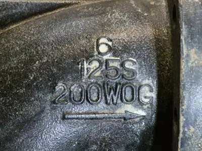 6" 125S 200 WOG Wye Strainer