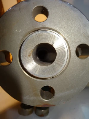 Annin 1", Class 600, CF8M Control Valve
