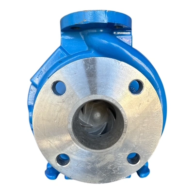 Used GOULDS 3196STX Pumps MX | MAQUINARIA PECUSA #934631