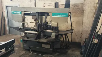 USED 2008 PEGAS 440X600 HORIZONTAL