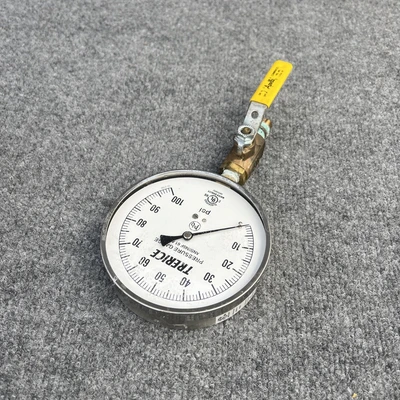 Used Trerice MH59892 Temperature/Pressure California US | Davliegogo LLC #1706146