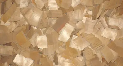 MORBARK MODEL 30 CHIPARVESTOR® Chiparvestors | Iron Listing (3)