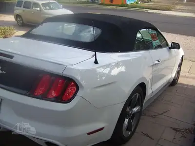 Used FORD MUSTANG Cars Michigan US | NAS Sales #1557820