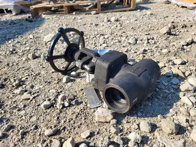 NEW 2013 BERIC VALVES 502S78B12N-NACE