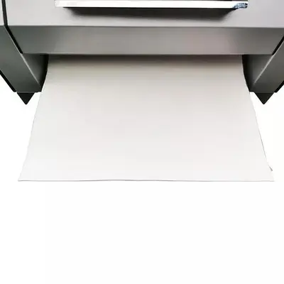 110V Baguette Shaping Machine Baguette Bread Dough Moulder 600-1800 pcs/h - TRY RENT BUY