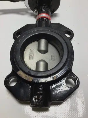 AT Controls CSB-W1-030-ESR-HE 3Butterfly Valve