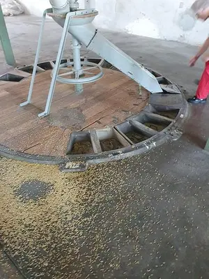 Oatmeal processing plant 1 t/h