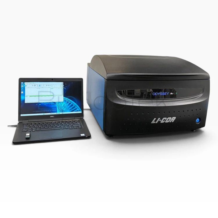Used LI-COR 9142 Imaging Systems / Molecular Imagers Missouri US | BioLabTek #1464007