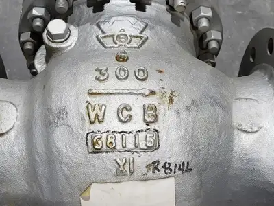 USED WILLIAMS VALVE CORPORATION 301F-2N