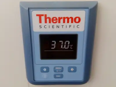 Thermo Scientific Heratherm IGS100 Microbiological Incubator
