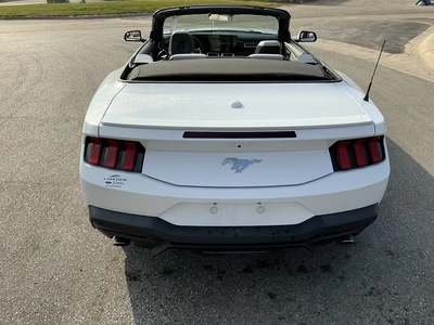 Used 2024 FORD MUSTANG Cars Michigan US | Miedema Asset Management Group #1579884