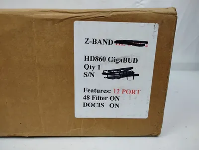 USED Z-Band Z Video GigaBUD 1000