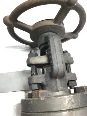 Bronney Forge L1-11 Flanged End Forged Steel Gate Valve 1-1/2″ A105N Body